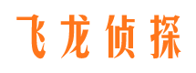 林口私家调查公司